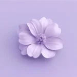 instagram image